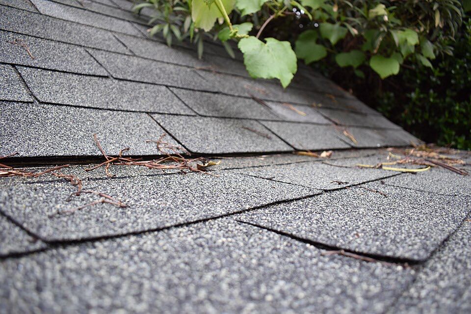 Close-up of a 3-tab asphalt shingle roof with flat, evenly spaced tabs