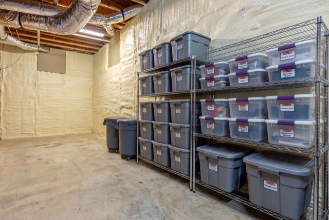 Unfinished Basement (Terrace Level)