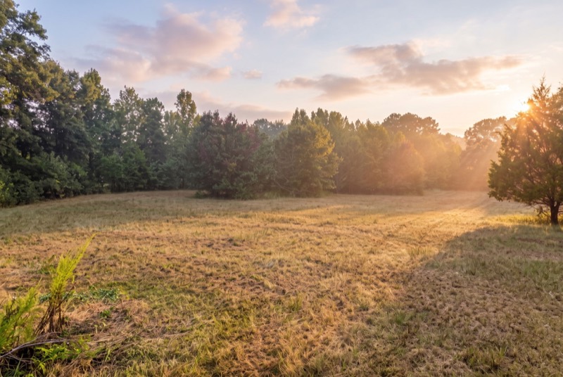 Front field